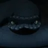 Aoda, Sasuke's snake summon