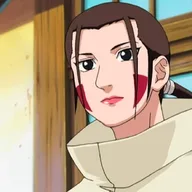 Hana Inuzuka, Konoha veterinarian