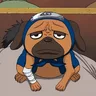 Pakkun, Kakashi's ninken partner