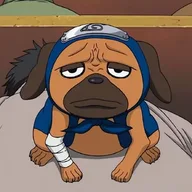 Pakkun, Kakashi's ninken partner