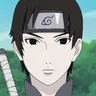 Sai, Root operative and painter