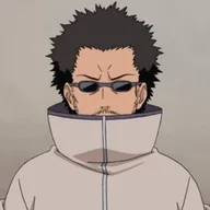 Shibi Aburame, Aburame clan head