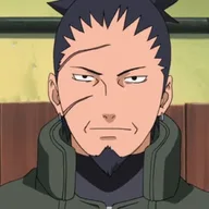 Shikaku Nara, Jōnin Commander