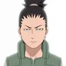 Shikamaru Nara, Nara clan strategist