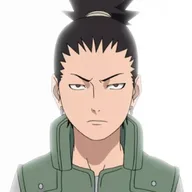 Shikamaru Nara, Nara clan strategist