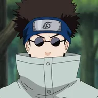 Shino Aburame, insect user